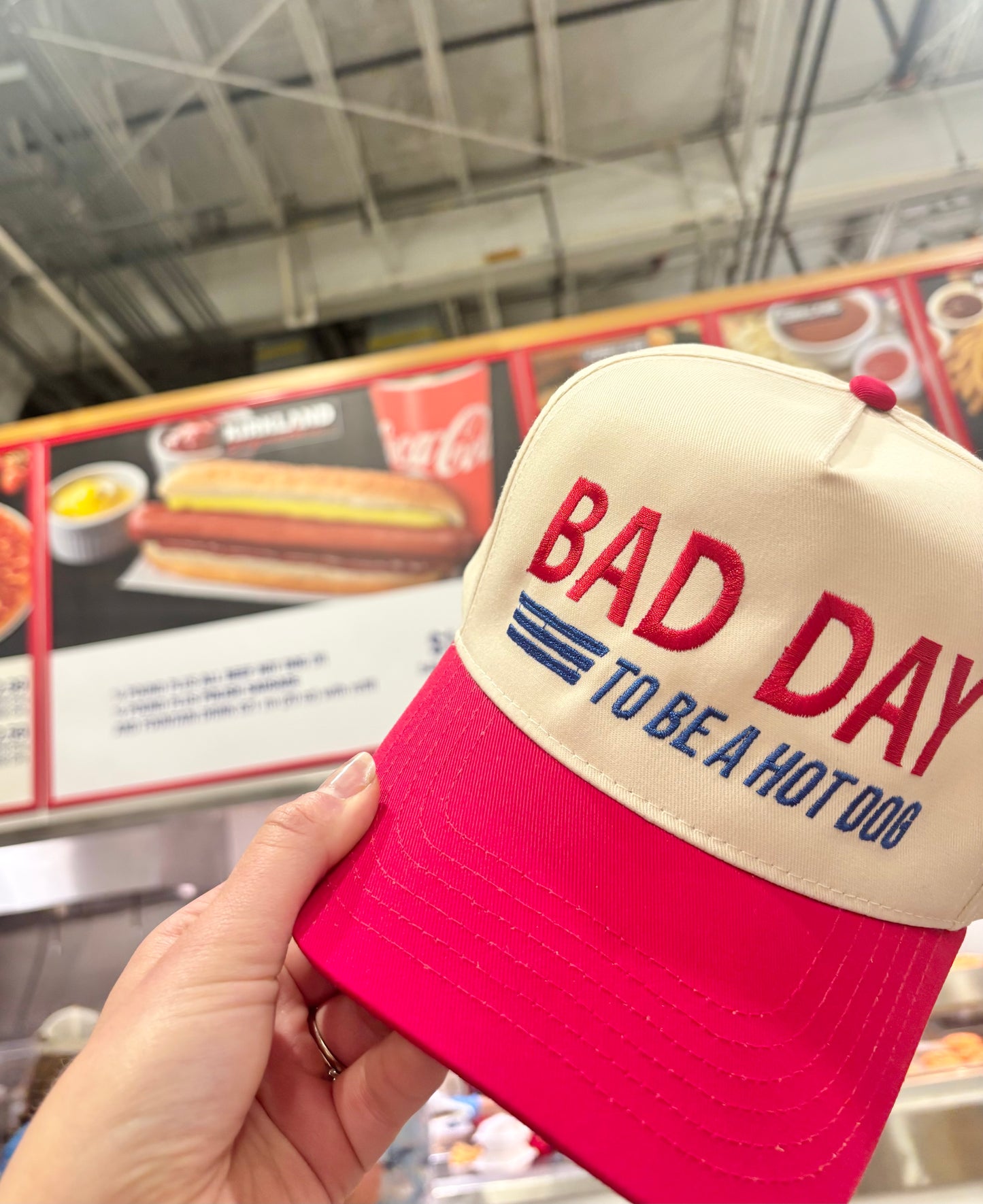 Bad Day to be a Hot Dog Hat